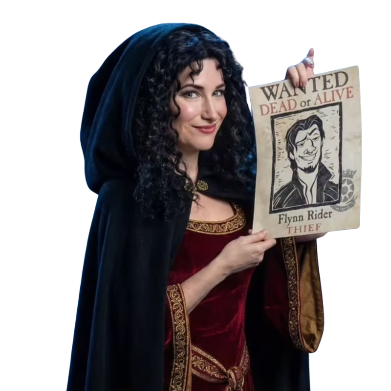 Mother Gothel inspired black and burgundy hooded cloak dress with embroidered trim