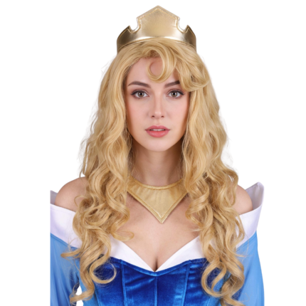 Sleeping Beauty Dress close-up look of blue velvet bodice